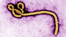 Swedish hospital on lockdown after report of suspected Ebola case