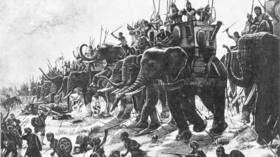 Ancient Egyptian war-elephant fortress discovered on the Red Sea (PHOTOS)