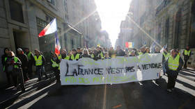 ‘Officials' worst nightmare’: Yellow Vests hope to trigger bank run with financial protest