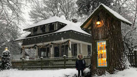 Woman saves 110 year-old condemned tree, converting it into stunning library (PHOTOS)