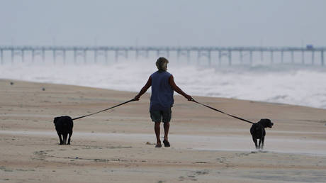 ‘Tinder for dogs’: New app lets animal lovers ‘swipe right’ to match with lonely shelter pups