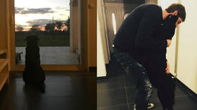 'Nala is waiting for you': Emiliano Sala's sister posts moving image of striker's pining dog