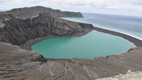 Life finds a way: ‘New’ Tongan island already teeming with birds and flowers (PHOTOS, VIDEOS)
