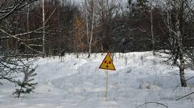 Large wildfire engulfs forest in Chernobyl’s EXCLUSION ZONE