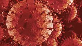 ‘Extraordinary breakthrough’: Scientists make ‘Holy Grail’ universal flu vaccine discovery