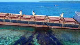 ‘Environmental disaster’ as tons of oil spills into UNESCO protected waters