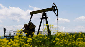 Russia aims to reach OPEC+ production cut quota by end-March