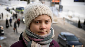 I am terrified of ‘children’s crusader’ Greta Thunberg – and you should be too