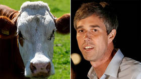 Beto's secret life as teenage hacker, bovine erotica poet in 'Cult of Dead Cow'