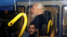 UK ‘grateful’ to Ecuador for paving way to snatch Assange as arrest blasted by activists