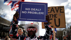 Pro-Brexit protesters hold placards outside the Houses of Parliament in London © Reuters / Phil Noble