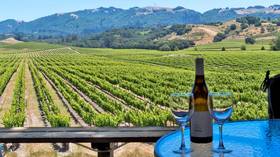 Global wine production hits 15-year high after dramatic slump in previous year
