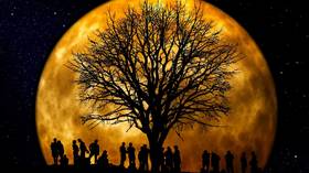 Greetings, Earthlings! 20,000 Russians snatch up land plots on the Moon