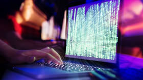 Russia ready for global internet shutdown, can sustain its own web – MPs