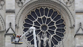 ‘It’s a bit of a miracle’: Delight as Notre Dame’s iconic rose windows survive blaze (PHOTO)