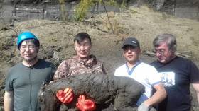 Scientists attempt to clone extinct horse after LIQUID BLOOD found in 42,000 yo remains
