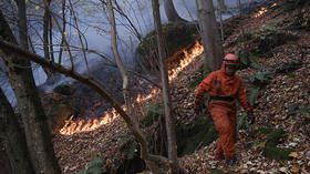 Italian students backyard barbecue ends with whopping $15 million forest fire fine