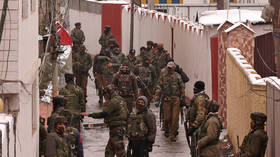 ‘Buying stairway to heaven?’ Pamela Anderson slams the rich for self-serving Notre Dame donations