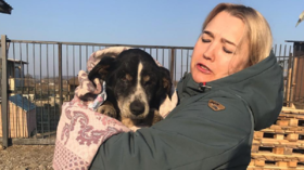 Owners cry with happiness after dog they presumed dead returns FROM THE GRAVE