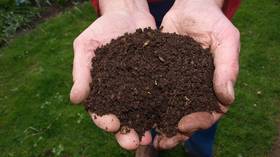 An eco-friendly deathstyle? Washington poised to legalize HUMAN composting