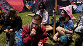 Yellow Vests, ‘eco-anarchists’ & pot smokers: London police arrest 750+ in one busy day (VIDEOS)