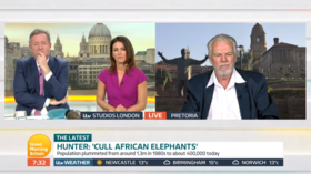 Hunter who killed 5,000 elephants blasted by Piers Morgan in tense live interview (VIDEO)