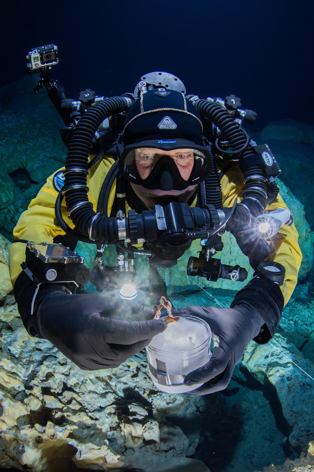 Animal & human bones over 12,000 years old found in underwater