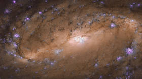 Hubble snaps stunning PHOTO of spiral galaxy SPARKLING with new-born stars