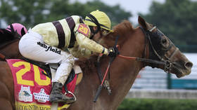 Orange horse bad! Trump digs into Kentucky Derby scandal that was somehow compared to 2016 election