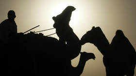 China’s Huawei plans to promote smart cities in Africa