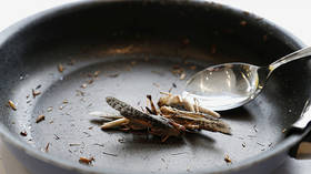 Jellyfish, insects & 3D-printed meat: Here’s what experts think you’ll be eating in the future