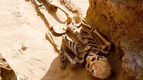 Farmer stumbles upon ancient burial site containing elite tribal remains in Russia (PHOTOS)