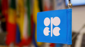 The logo of the Organization of the Petroleum Exporting Countries (OPEC) © Reuters / Leonhard Foeger 