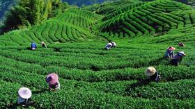 Chinese farm stocks gaining as US-China trade war escalates
