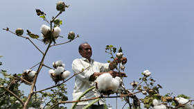 ‘New chapter’ in Africa’s history: World’s largest free trade zone to become reality this week