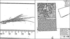FBI reveals it examined ‘BIGFOOT HAIRS’ to see if they really came from hairy creature (DOCUMENTS)