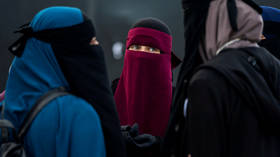 Fair comment or racism? Award-winning German artist under fire over ‘Islamophobic’ cartoons 