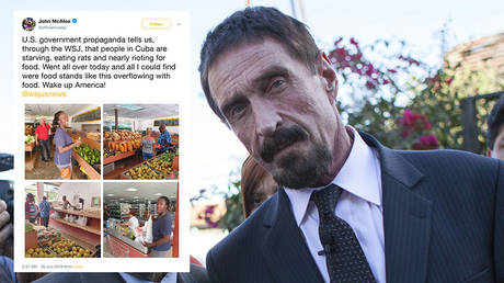 Main image: John McAFee, file photo © Global Look Press/Xinhua/Luis Echeverria; Inset: screenshot © Twitter / John McAfee 