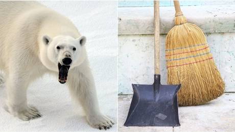 Fearless Moscow Zoo cleaner fends off polar bear with broom (VIDEO)