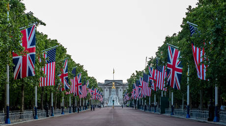 ‘This is their story’: Kremlin says scandal over UK ambassador is between London and Washington