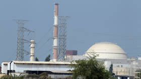 A view of Bushehr nuclear power plant © REUTERS/Raheb Homavandi 