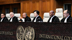 âVictory for Pakistanâ: Countryâs PM, FM vow to stay the course on Indian âspyâ execution