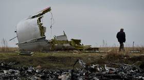 FILE PHOTO: MH17 flight crash site in eastern Ukraine. © Sputnik / Alexey Kudenko