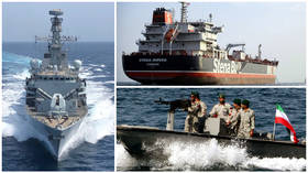 New audio reveals radio chatter between UK & Iran warships during Gulf standoff – media