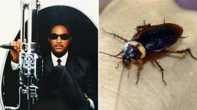 Call the ‘Men in Black’! Huge cockroaches invade Russian resort of Sochi