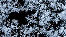 Rare interstellar radioactive material found in Antarctic snow