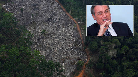 Main image: Amazon deforestation © Reuters/Nacho Doce; inset: Bolsonaro © Reuters
