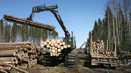 FILE PHOTO © Sputnik / Aleksey Nikolskyi