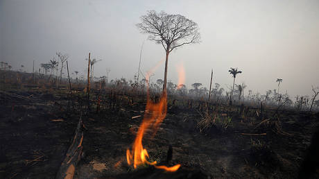A tract of burnt jungle in Boca Do Acre, Brazil © Reuters / Bruno Kelly