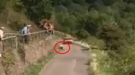 WATCH: Terrifying moment rally fan falls onto track in front of oncoming car